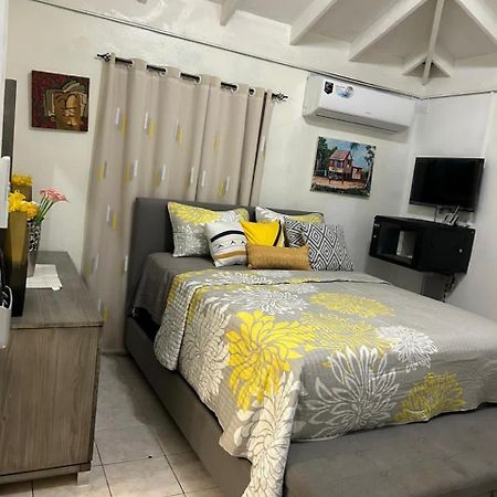 Beautiful Vacation Home Ocho Ríos Extérieur photo